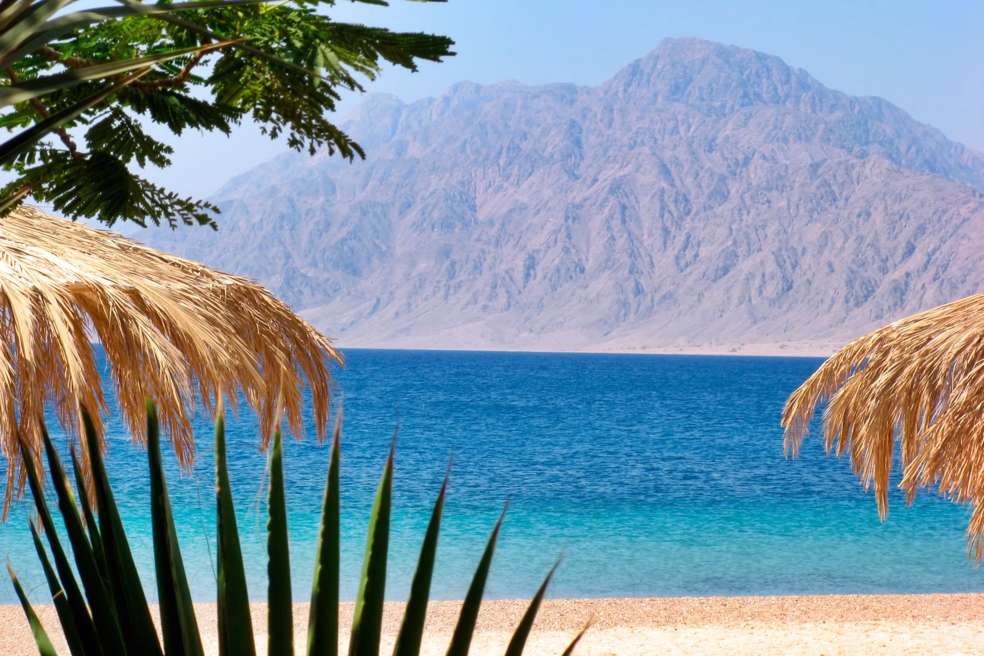 Nuweiba Liveaboards