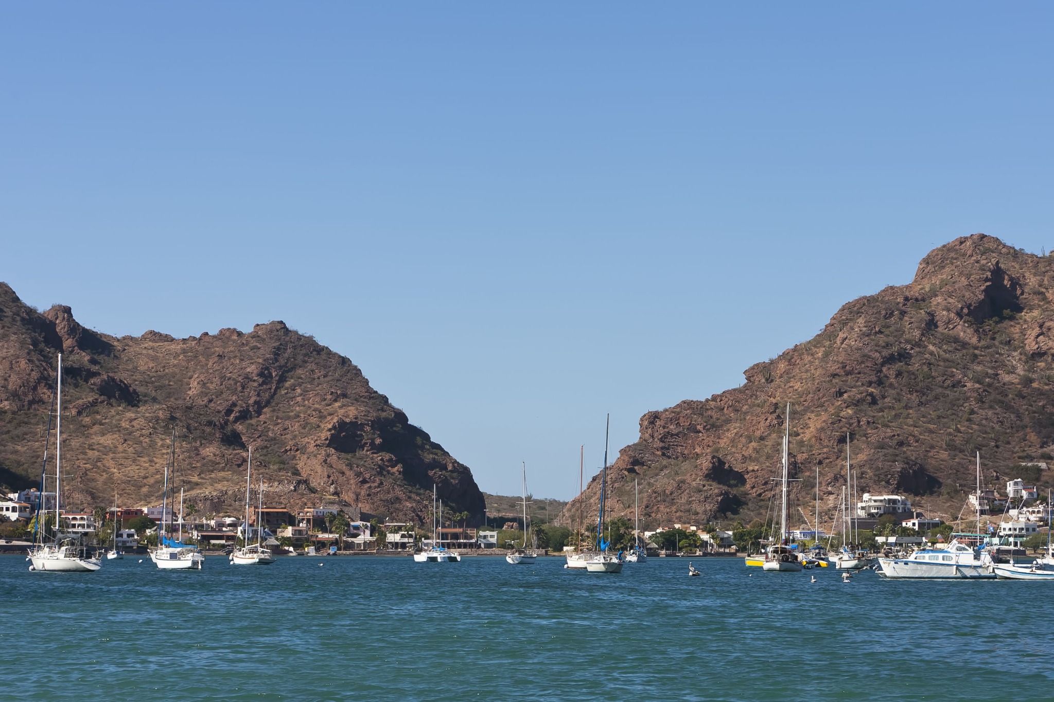 San Carlos Liveaboards