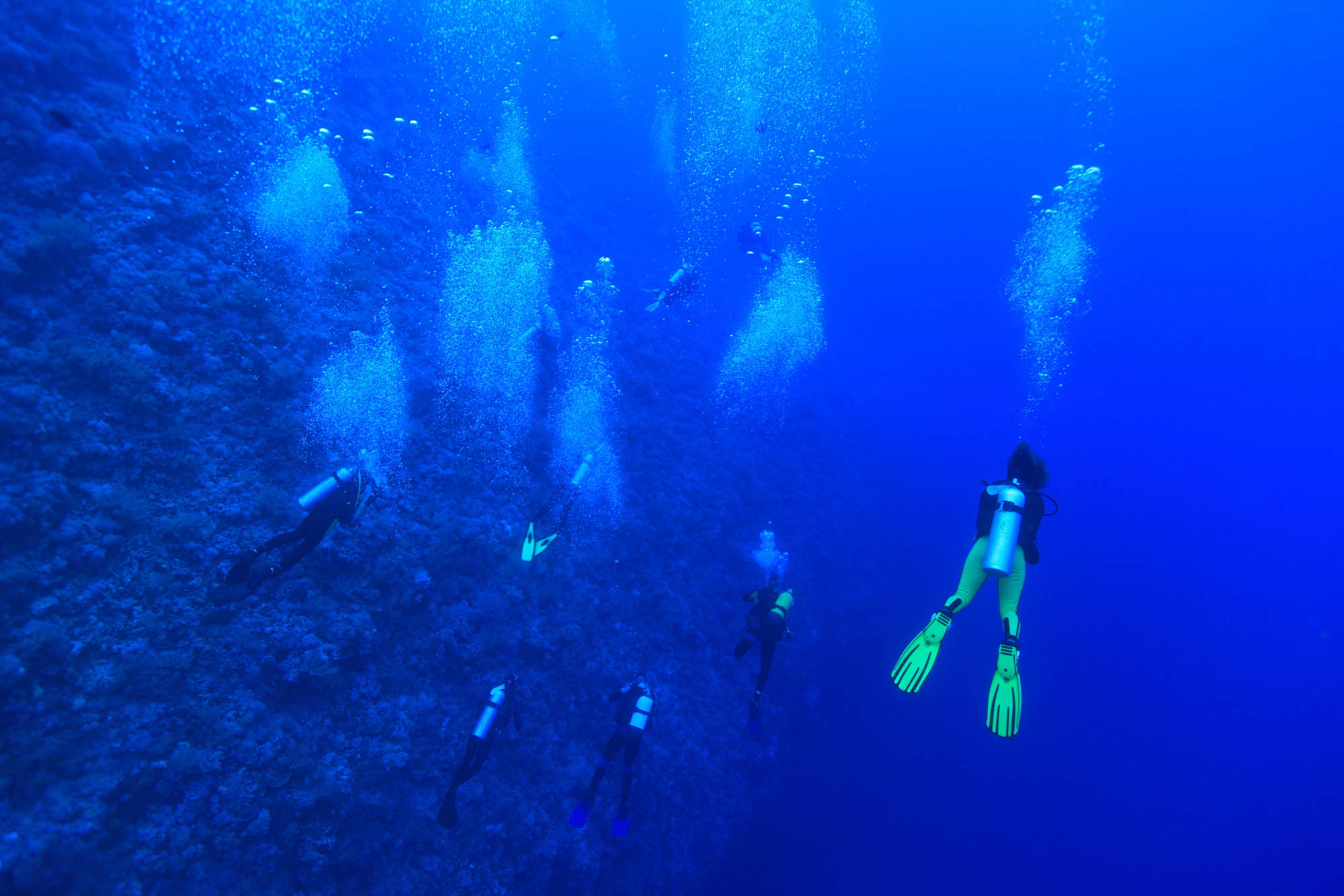 Pereybere Liveaboards