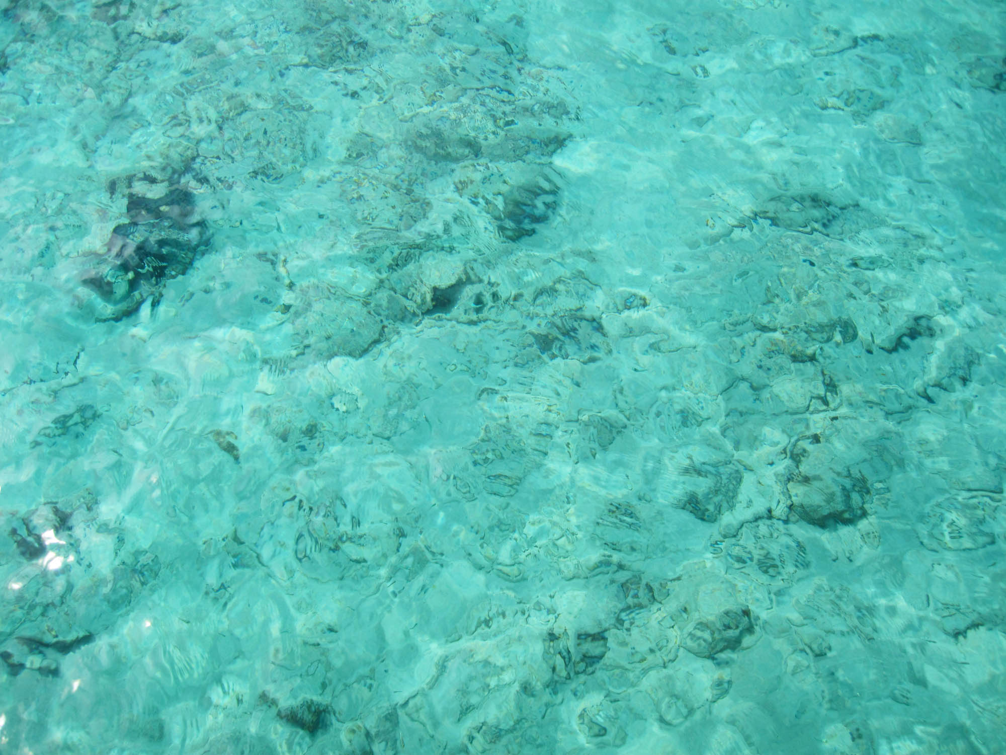 Treasure Cay Liveaboards