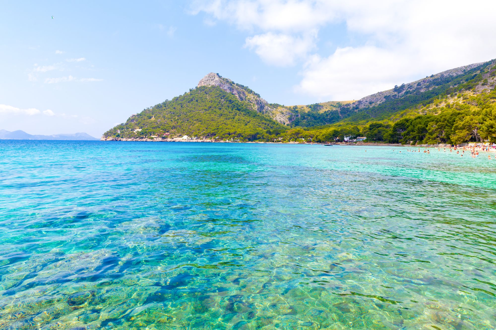Port d'Andratx Liveaboards