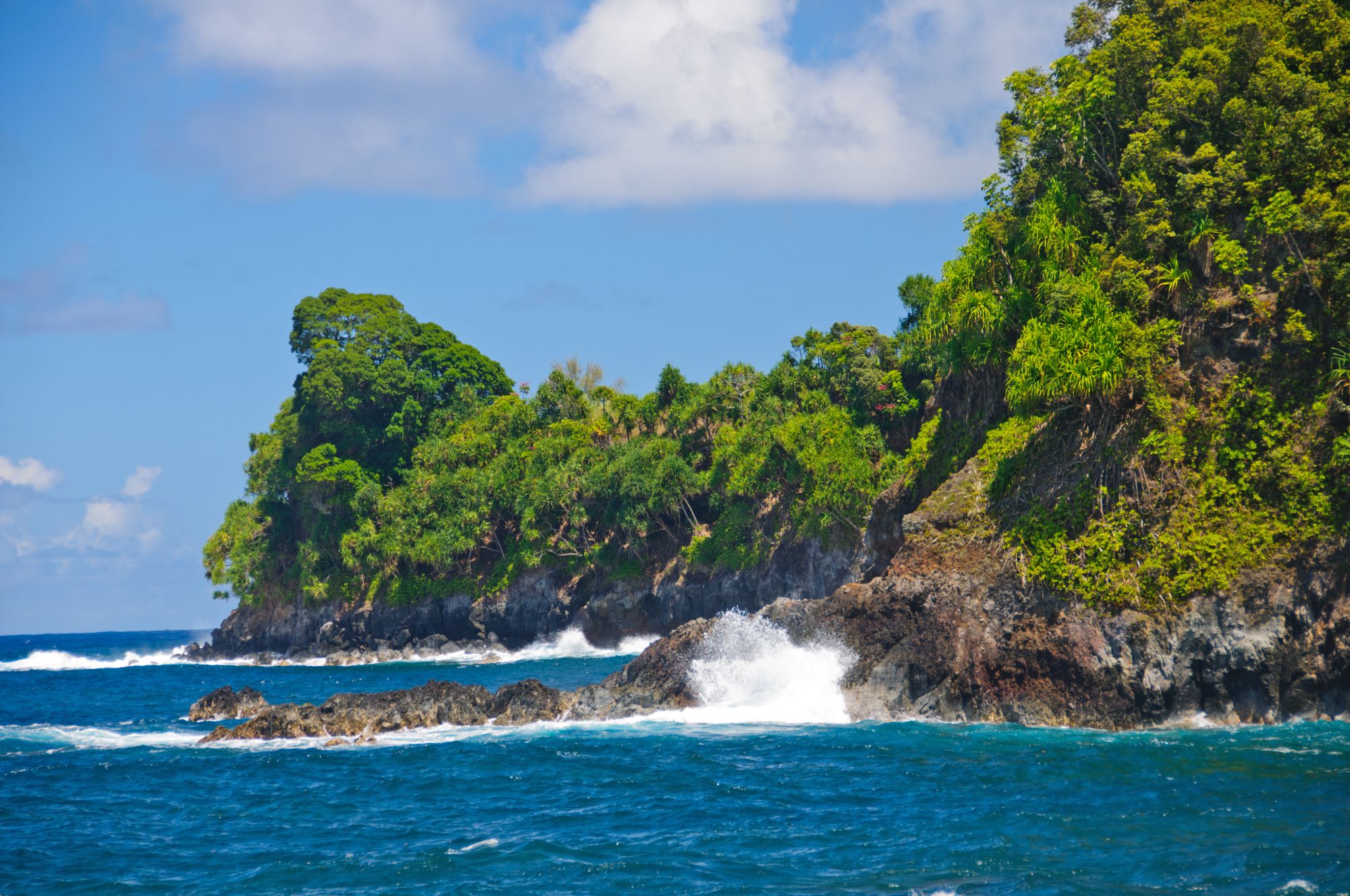 Hilo Liveaboards
