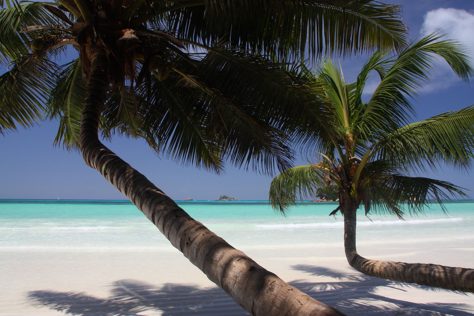 Anse Volbert Liveaboards