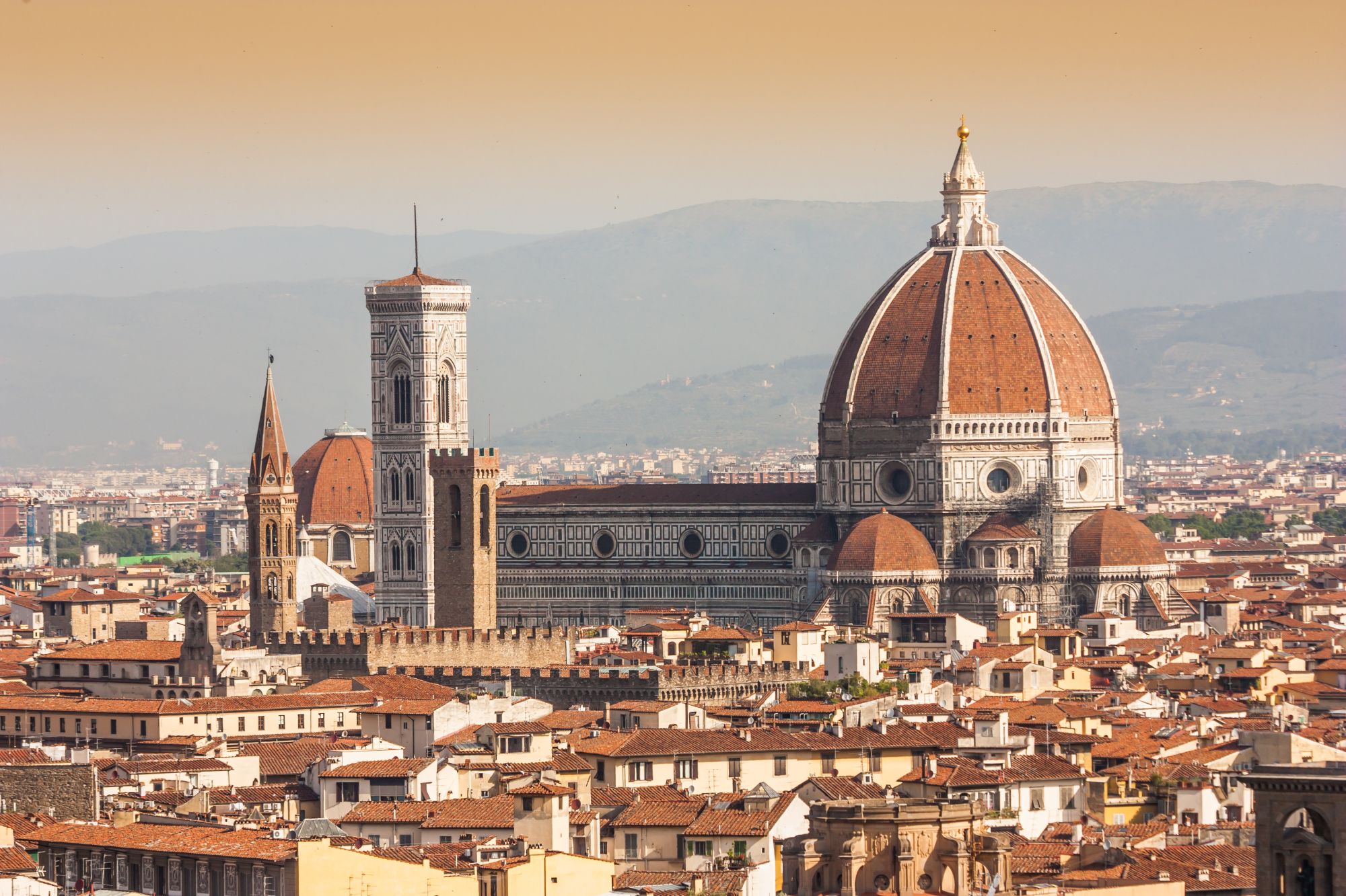 Firenze Liveaboards