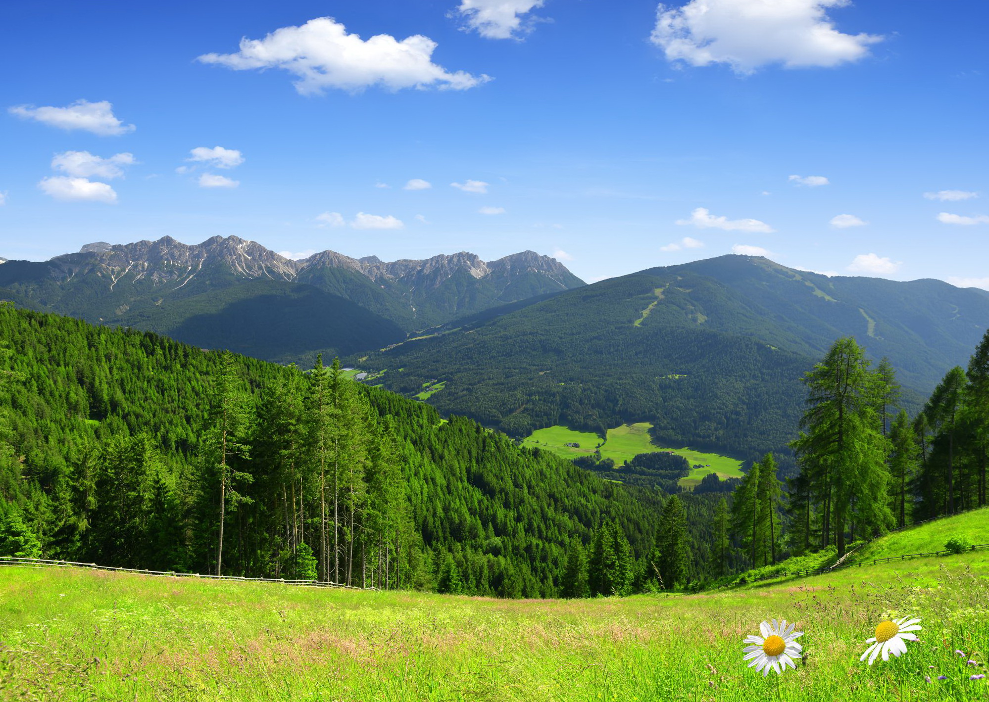 Bruneck Liveaboards