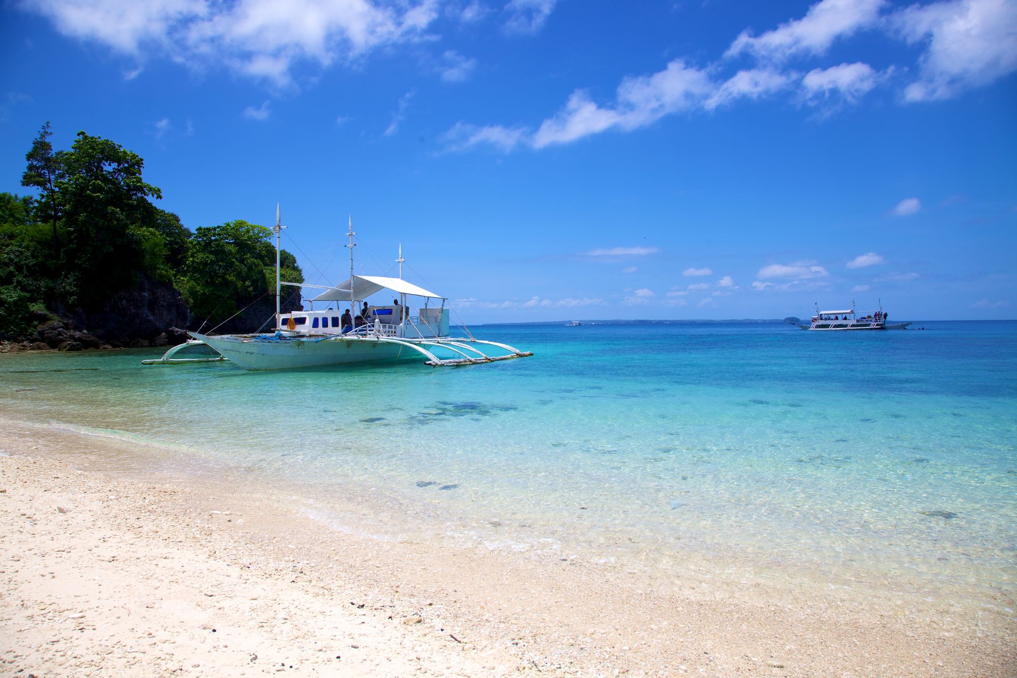 Scuba Diving In Malapascua, Philippines - Divebooker.com