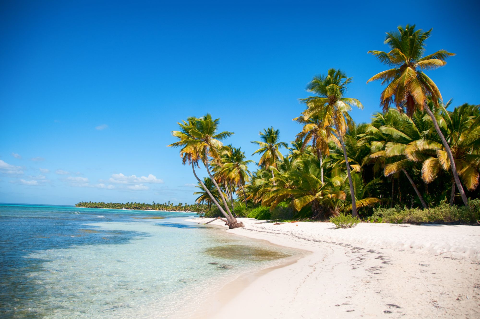 San Pedro De Macoris Liveaboards