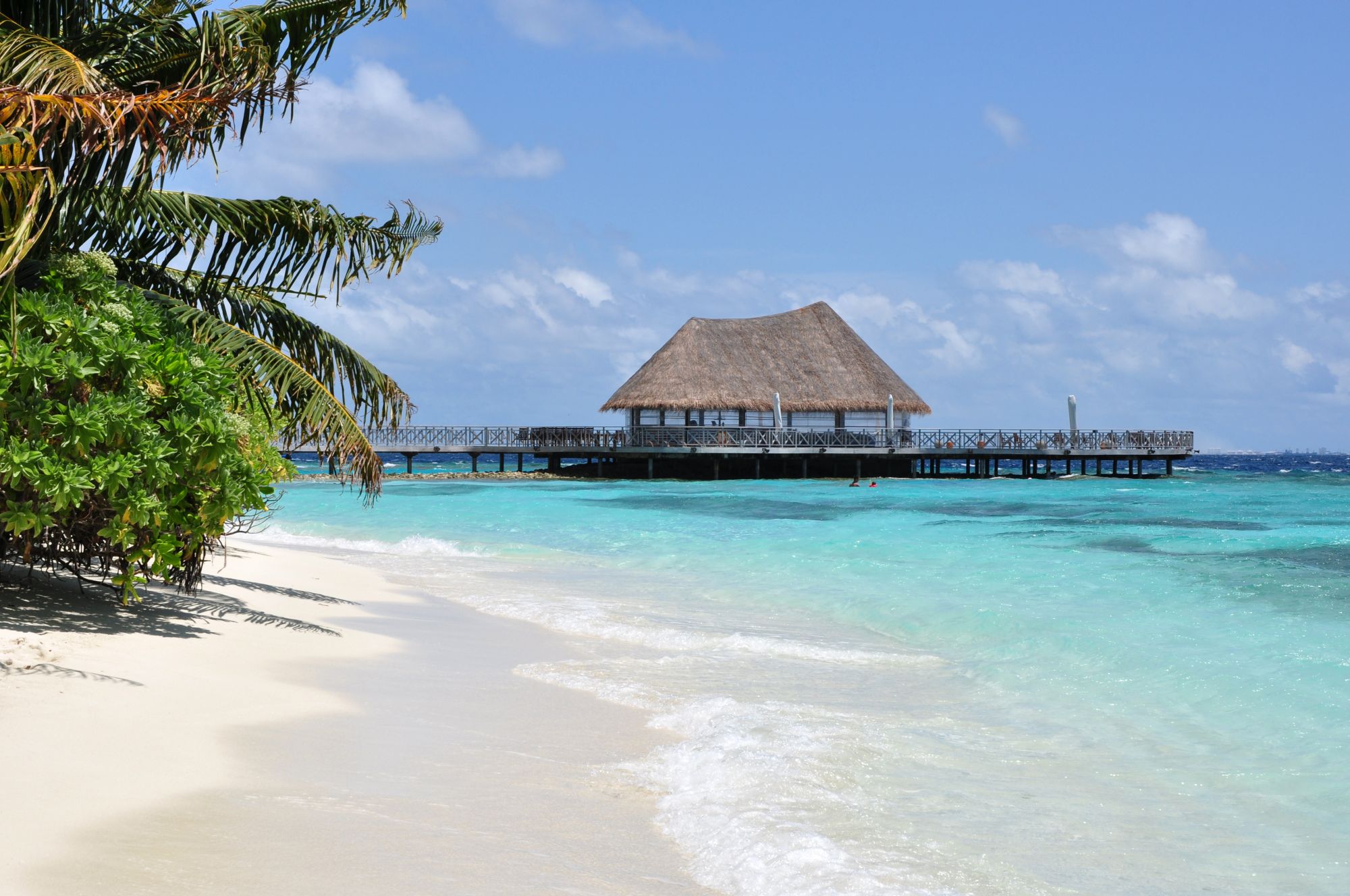 Holiday Island Liveaboards