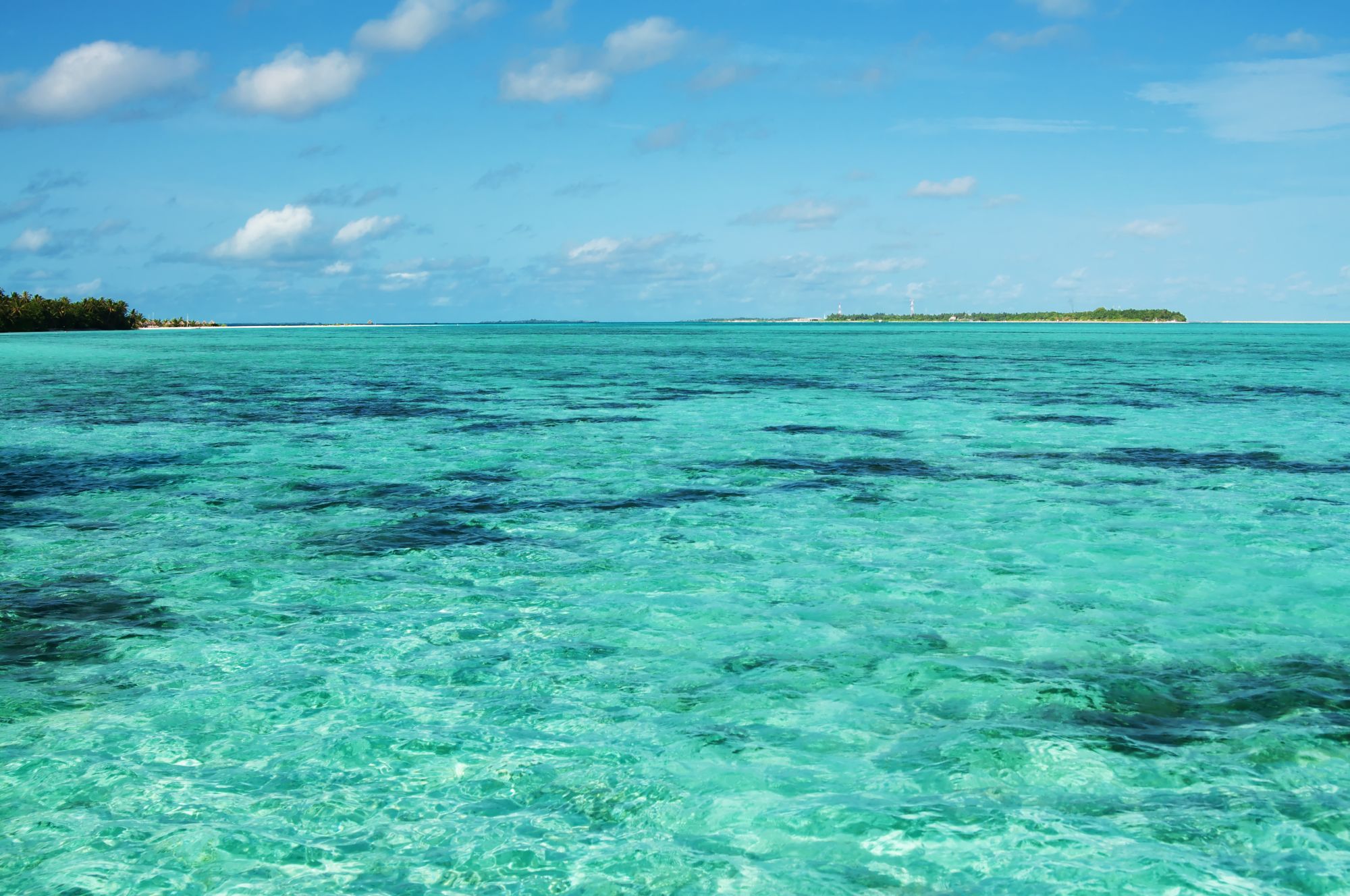 Paradise Island Liveaboards