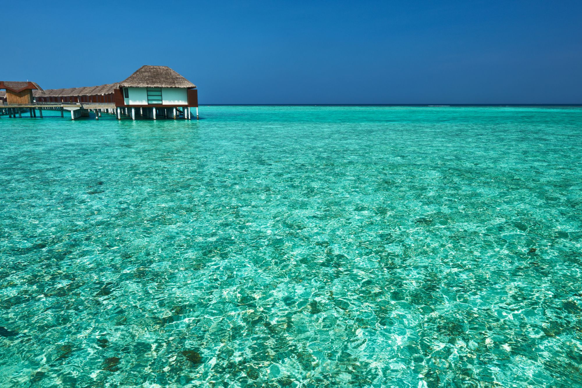 Dhigufinolhu Liveaboards