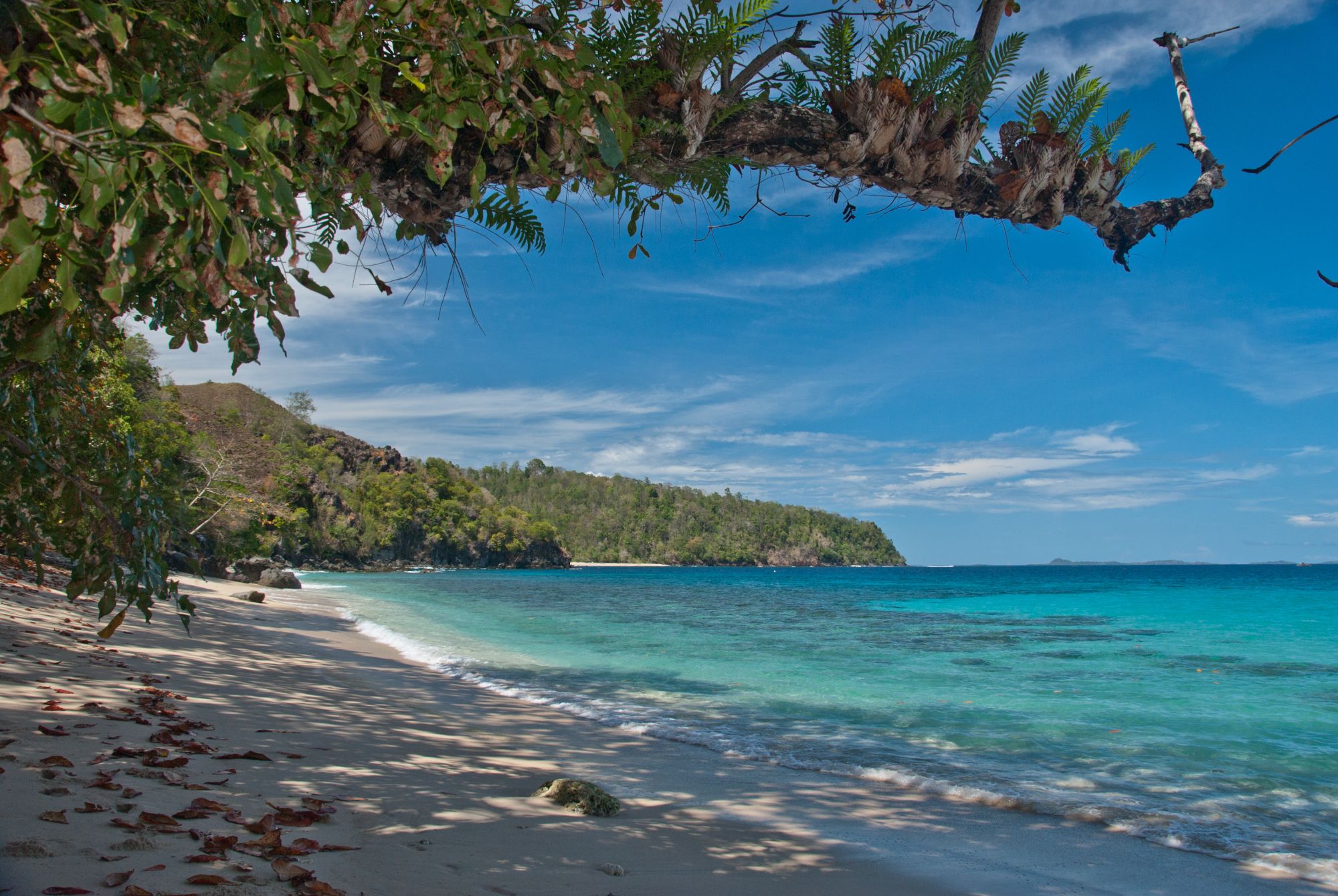 Scuba Diving in Bangka Island Indonesia Divebooker com