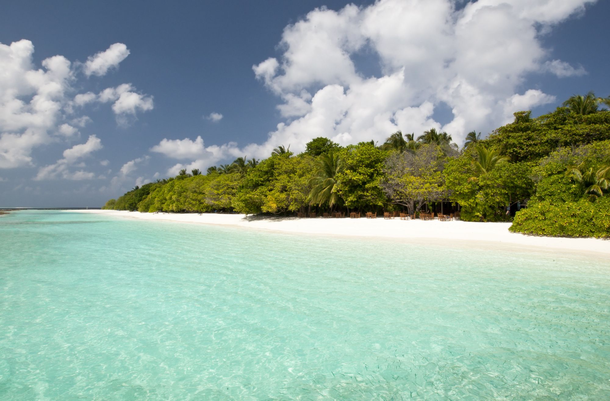 Royal Island Liveaboards
