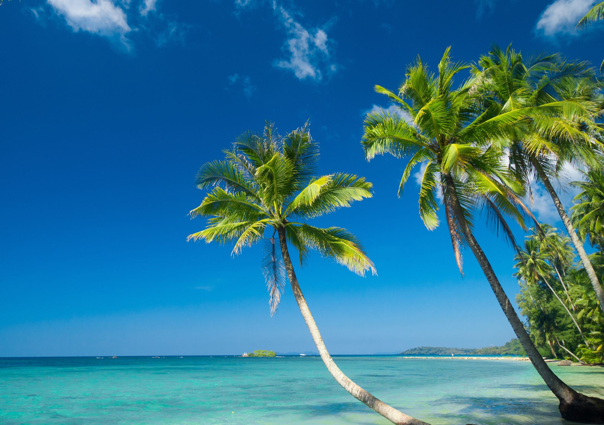 Landhoo Liveaboards