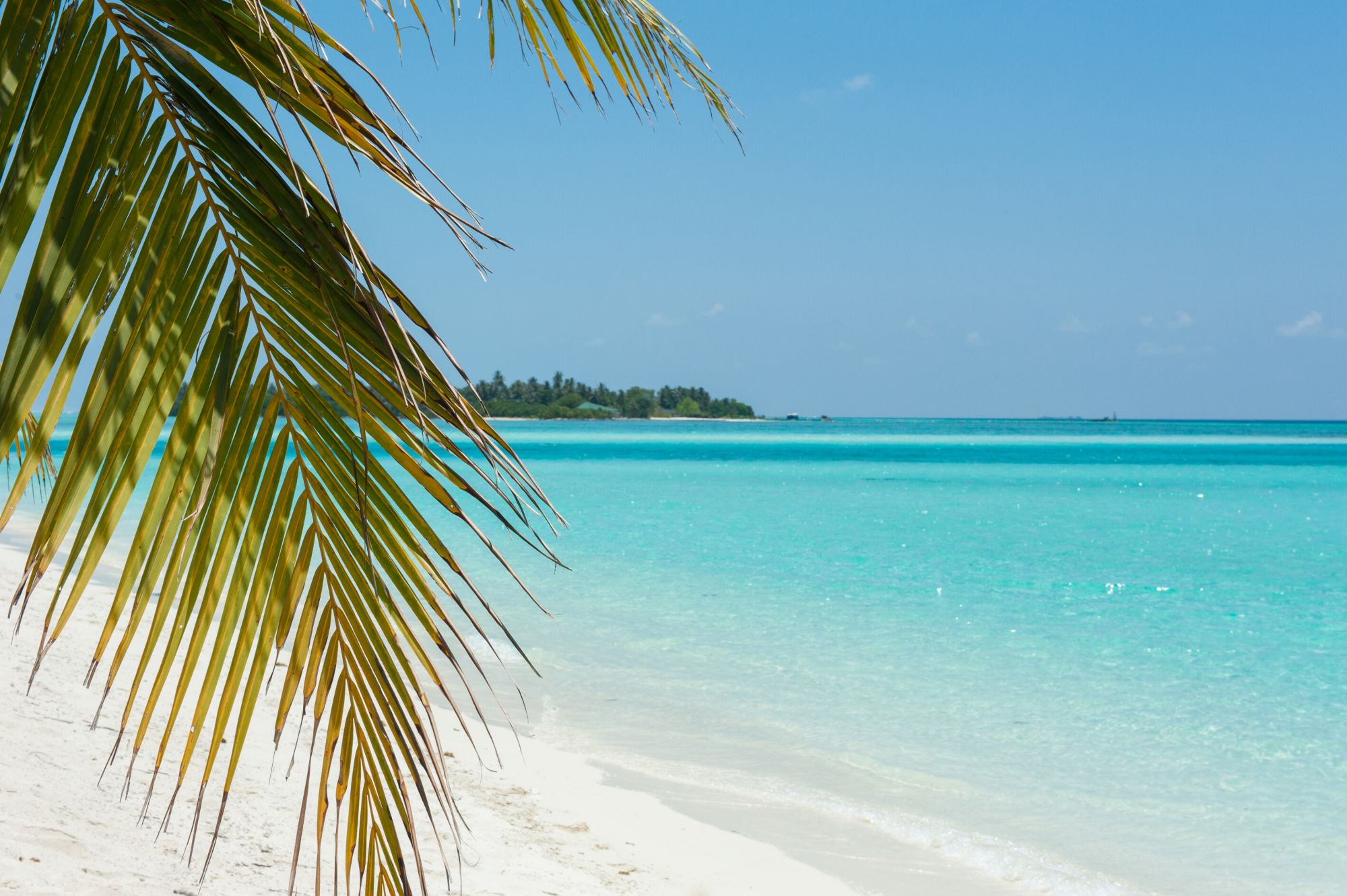 Kanuhuraa Liveaboards
