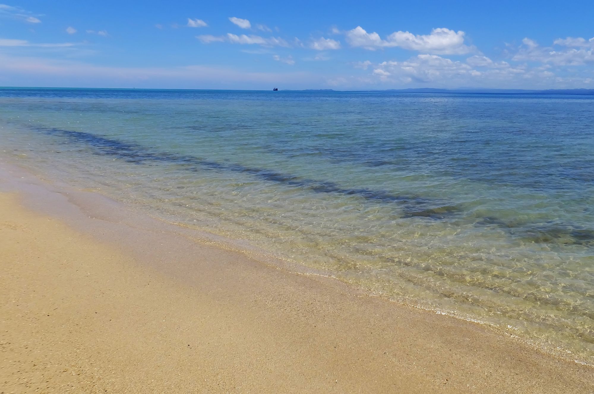 Savusavu Liveaboards