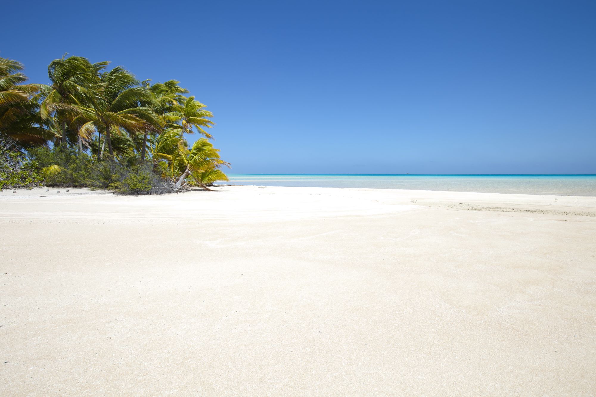 Nananu-i-Ra Liveaboards