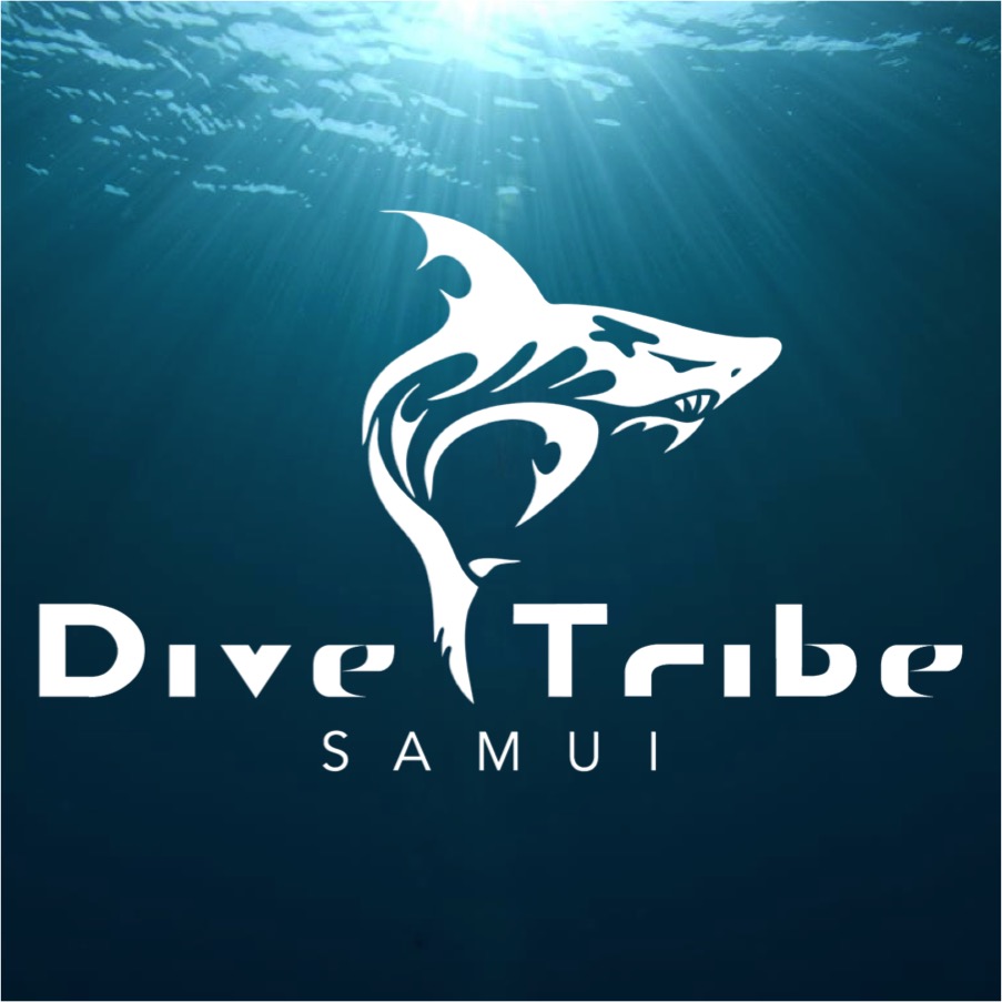 Samui Dive Tribe, Koh Samui, Thailand