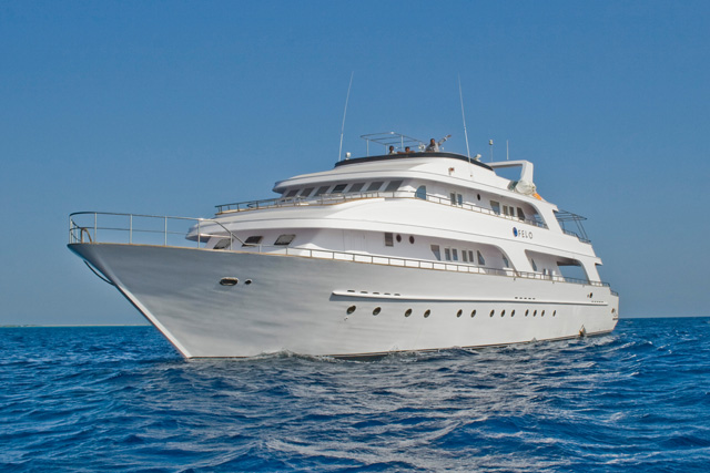 Seawolf Felo Liveaboard