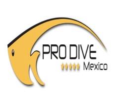 Pro Dive Mexico - Occidental Allegro Cozumel, Cozumel, Mexico -  