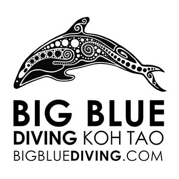 SCUBA Diving Koh Tao, Big Blue
