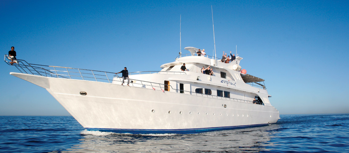 Longimanus
