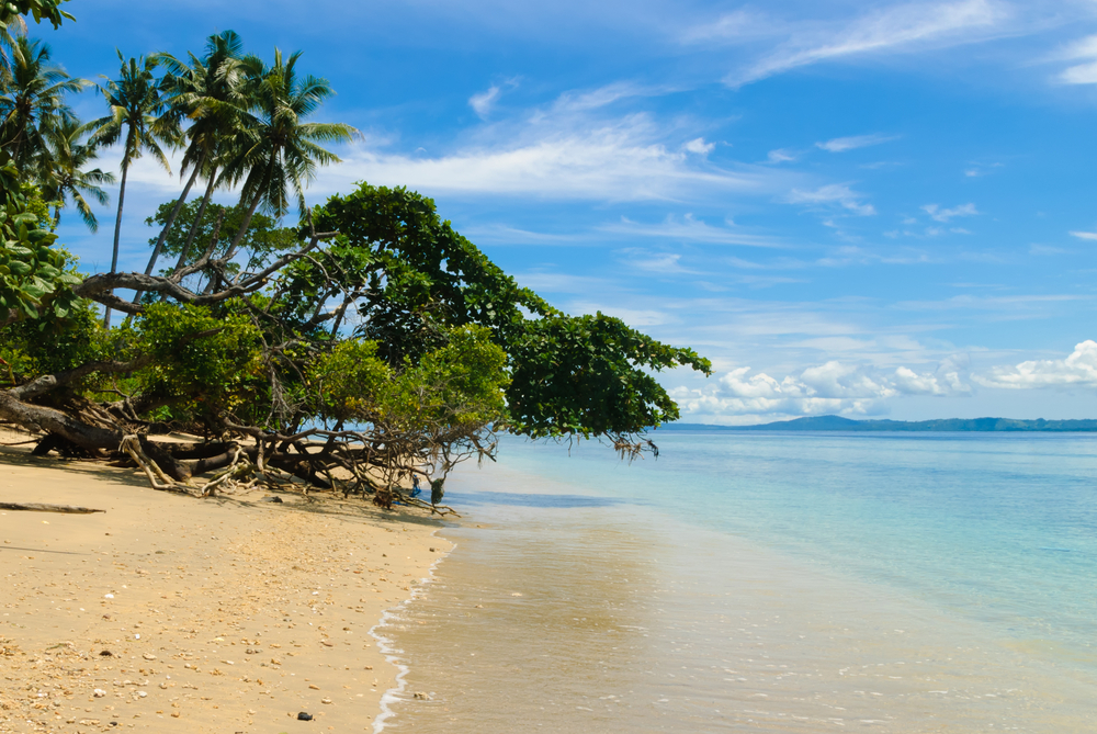 Scuba Diving in Bau-Bau, Indonesia - Divebooker.com