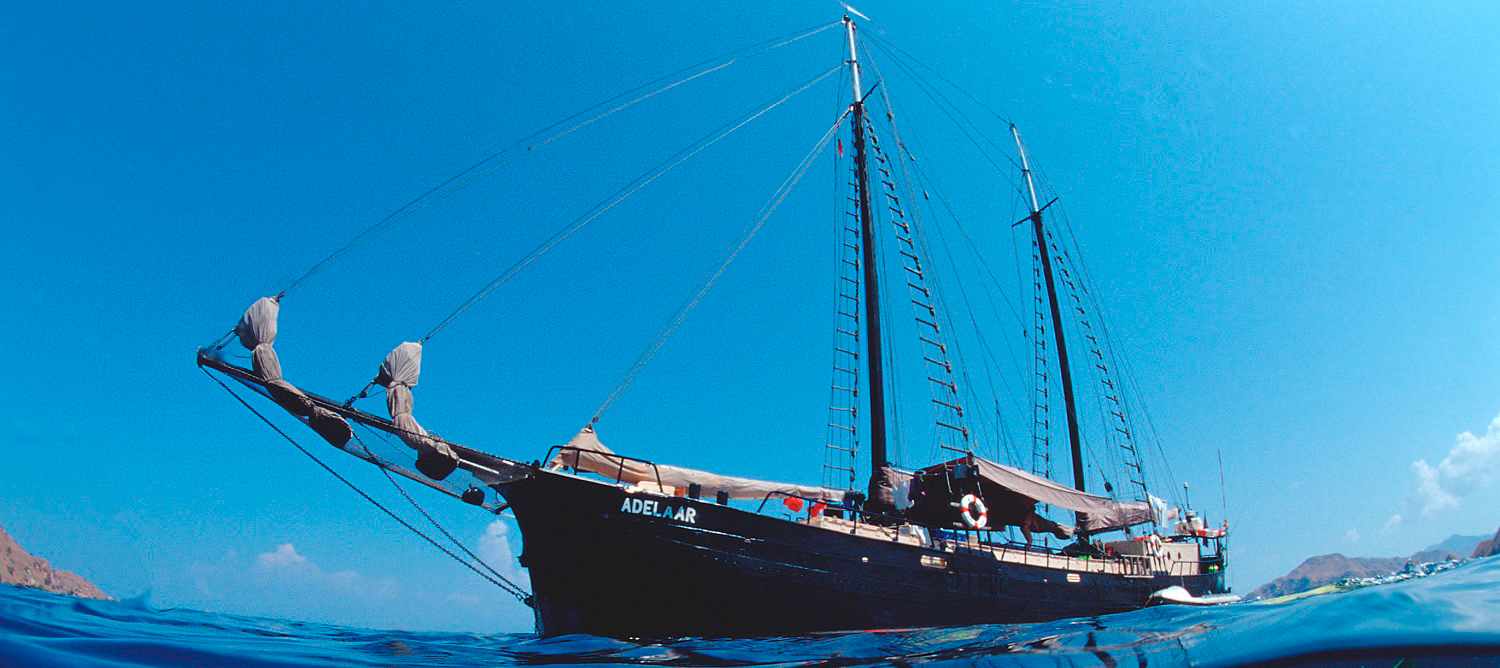 Adelaar Liveaboard
