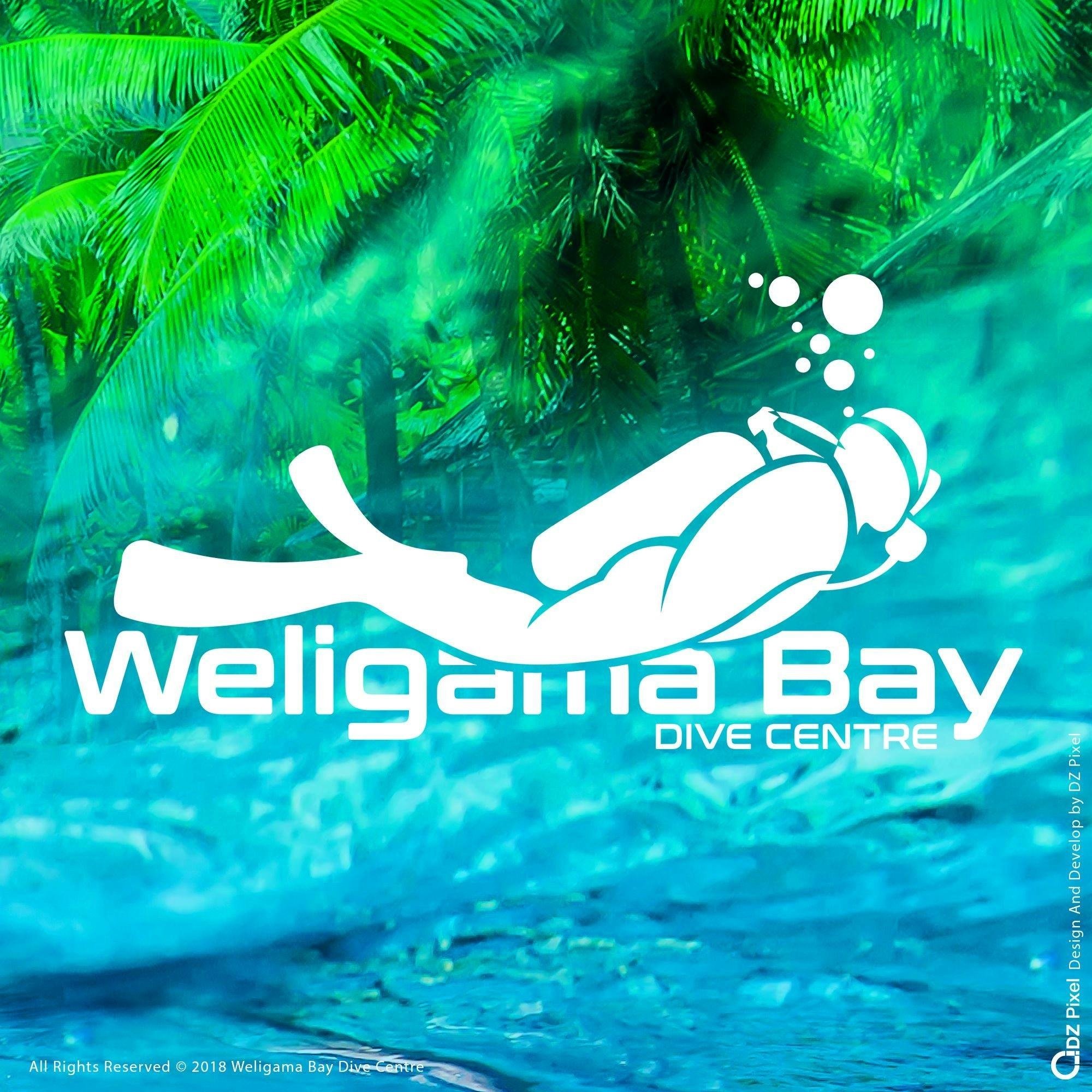 Weligama Bay Dive Center Weligama Sri Lanka Divebookercom - 