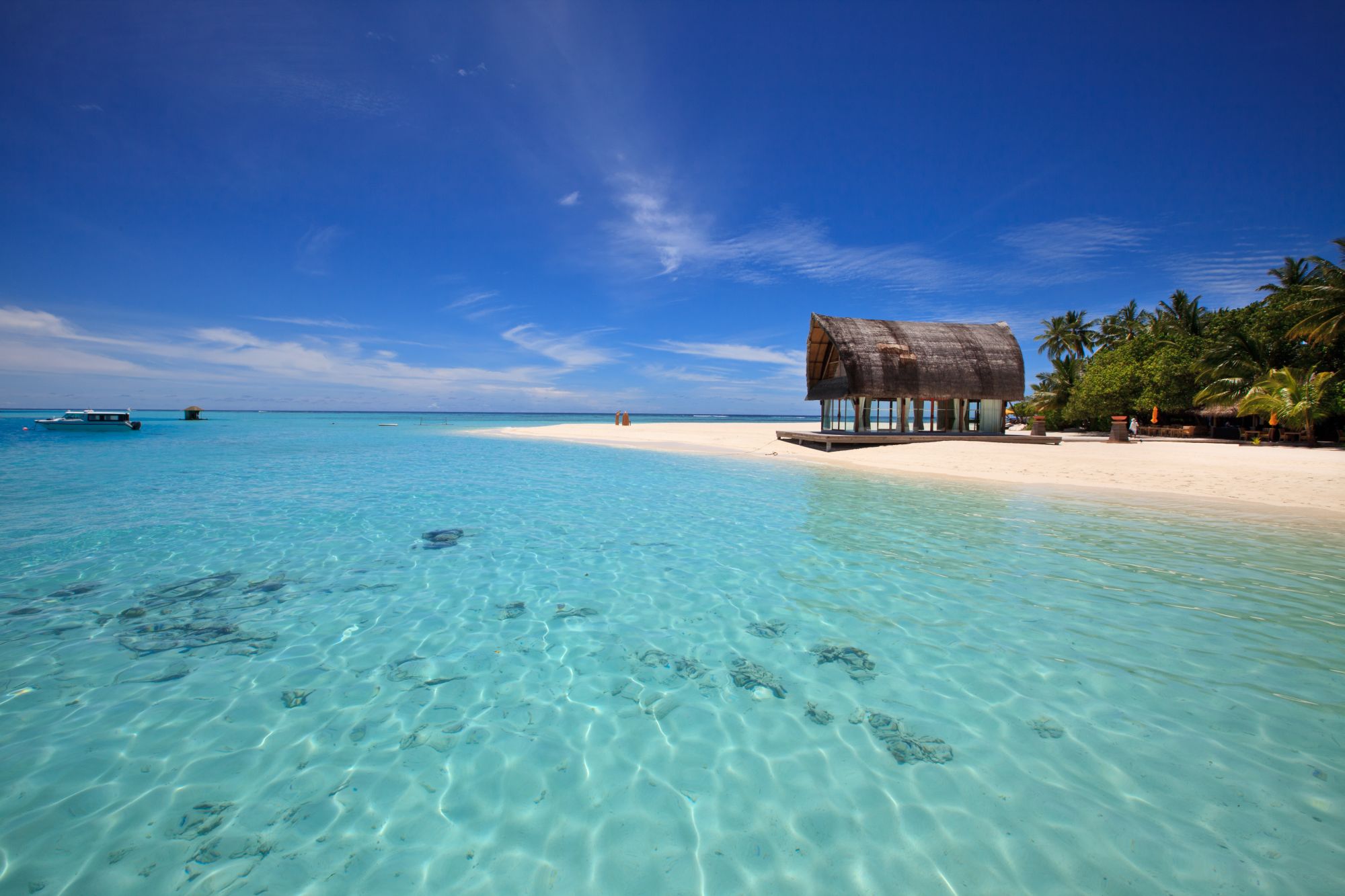 Hon'daafushi Liveaboards