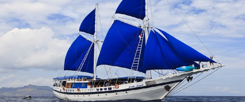 Indo Siren Liveaboard