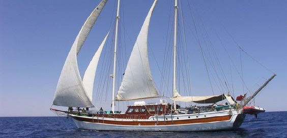 Elegante Liveaboard