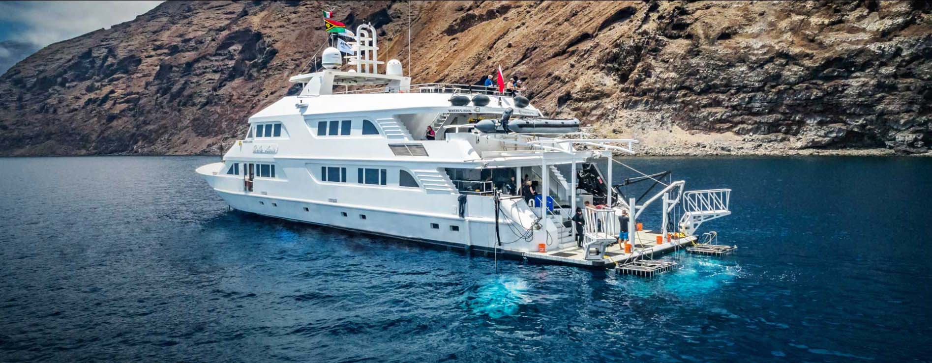 Nautilus Belle Amie