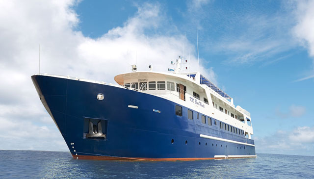 Blue Manta