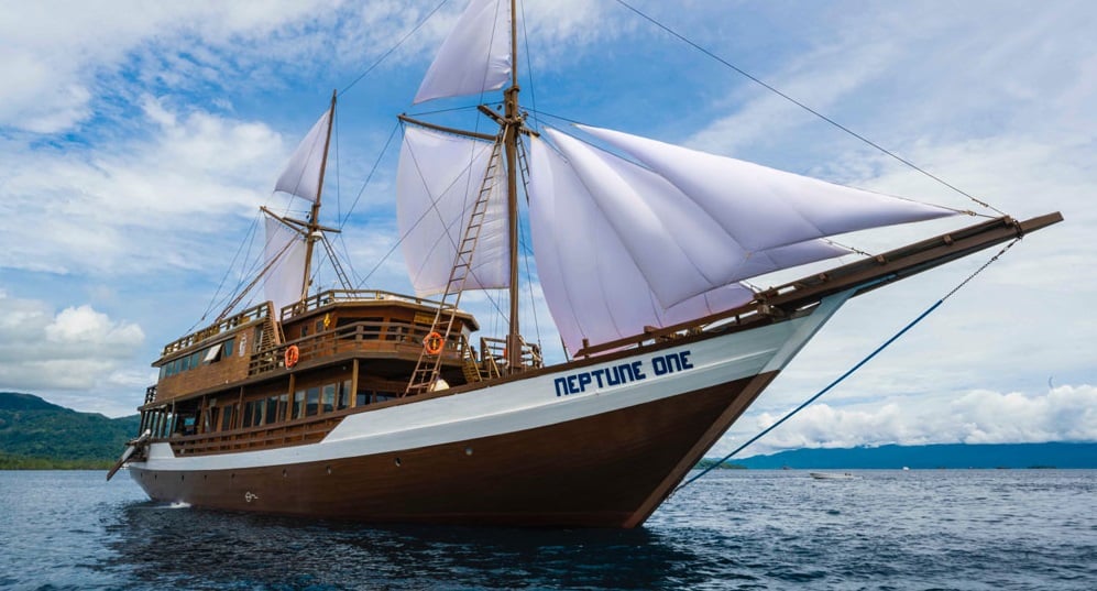 Neptune One