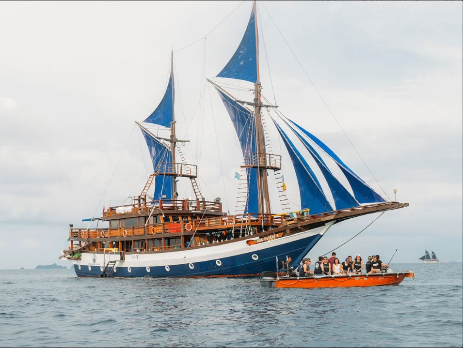 Sea Safari 8