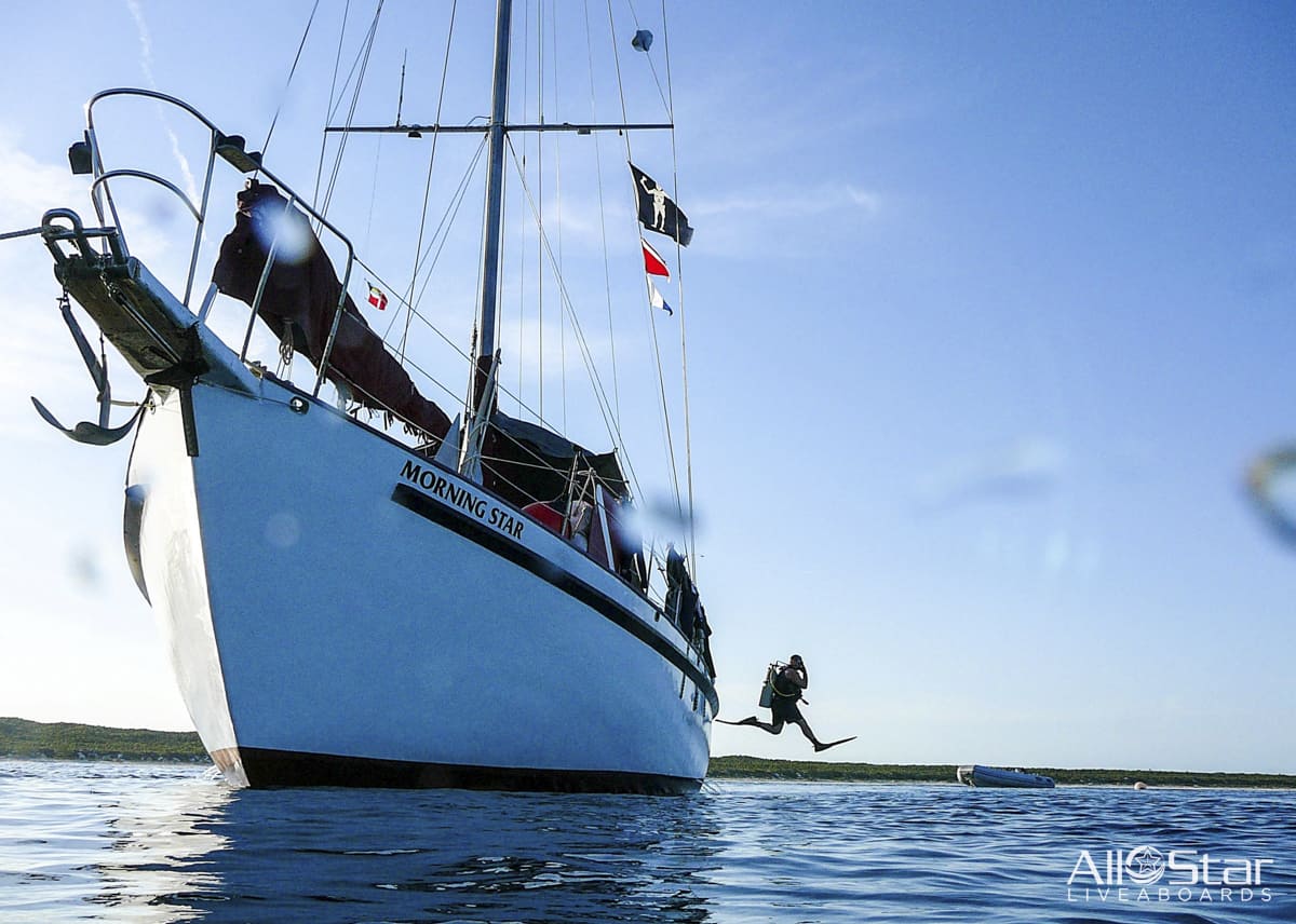 Blackbeard Morning Star