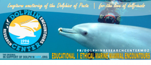 Dolphin Encountours Research Center
