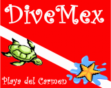 DiveMex
