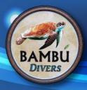 Bambu Divers