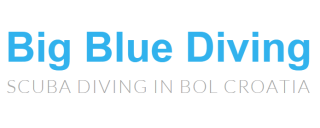 Big Blue Diving