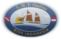 The Best Diving In The World