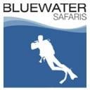 Bluewater Safaris