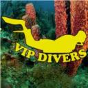 Vip Divers