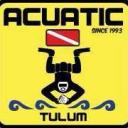 Acuatic Tulum