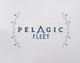 Pelagic Fleet