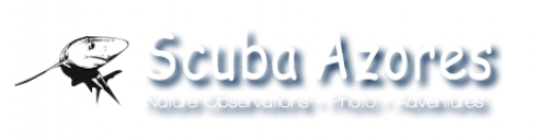 Scuba Azores
