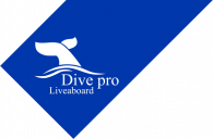 Dive Pro Liveaboard