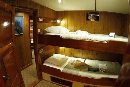 Twin Cabin (Bunk-style)