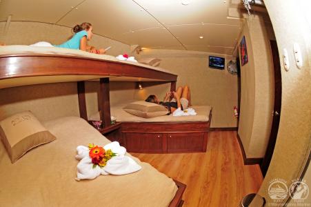 Quad Stateroom (#2)