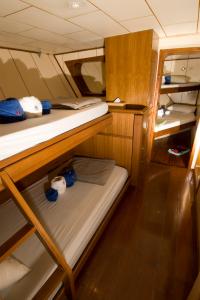 Standard Quad Cabin